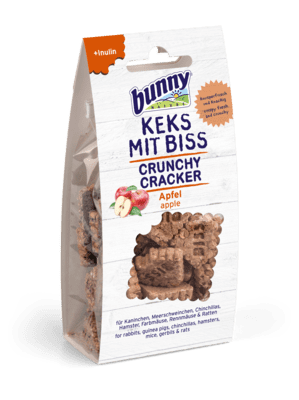 CRUNCHY CRACKER apple 50g
