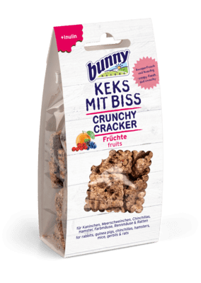 CRUNCHY CRACKER fruits 50g