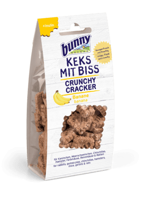 CRUNCHY CRACKER banana 50g