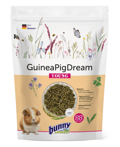 GuineaPigDream YOUNG 1.5 kg