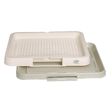 My Littleone's Favorite Pet Toilet Tray 47x39x3.5 cm, Green